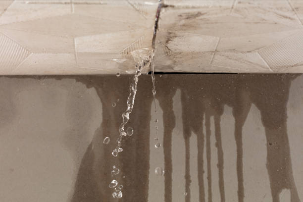 Professional Structural Drying technician working in Point Clear, AL